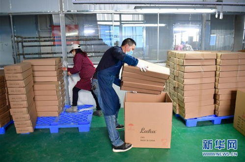 陜西城固樂器廠復(fù)工忙，樂器零售市場煥發(fā)新生機